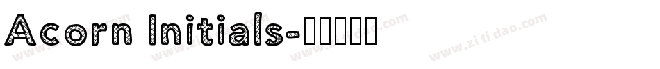 Acorn Initials字体转换
